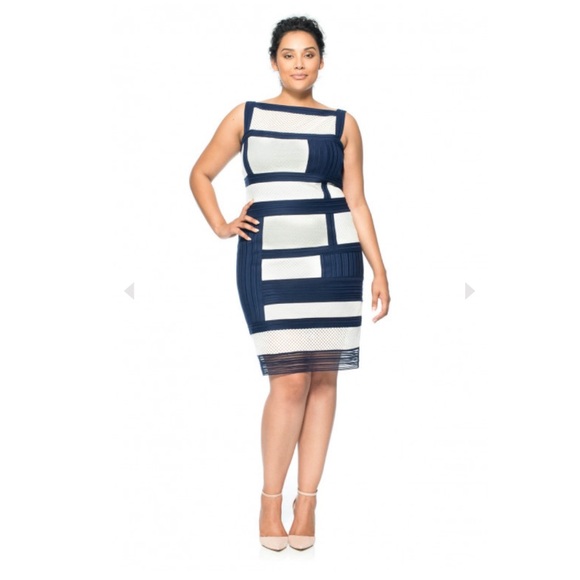 Tadashi Shoji Dresses & Skirts - Tadashi Shoji Navy and Cream Crochet Fitted Sheath